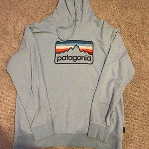 patagonia hoodie